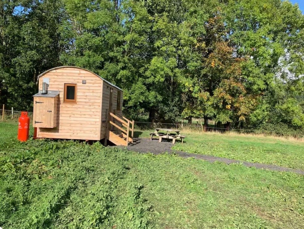 Burrow Shepherd's Hut among the trees