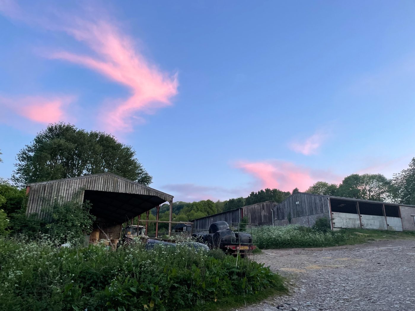 Pink evening clouds over the farm buildings