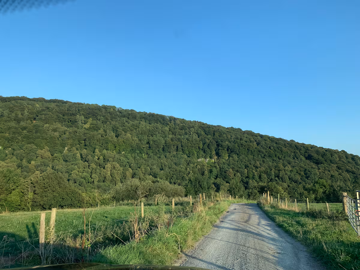 The lane leading onto the farm