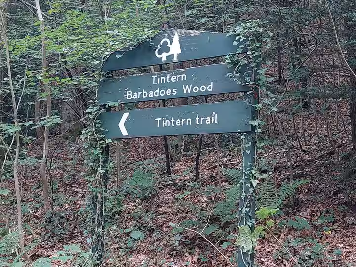 The footpath into Tintern