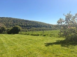 The view across the valley from the farm